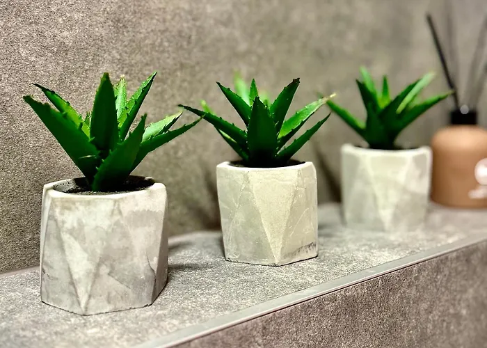 Happy * פלאנגה